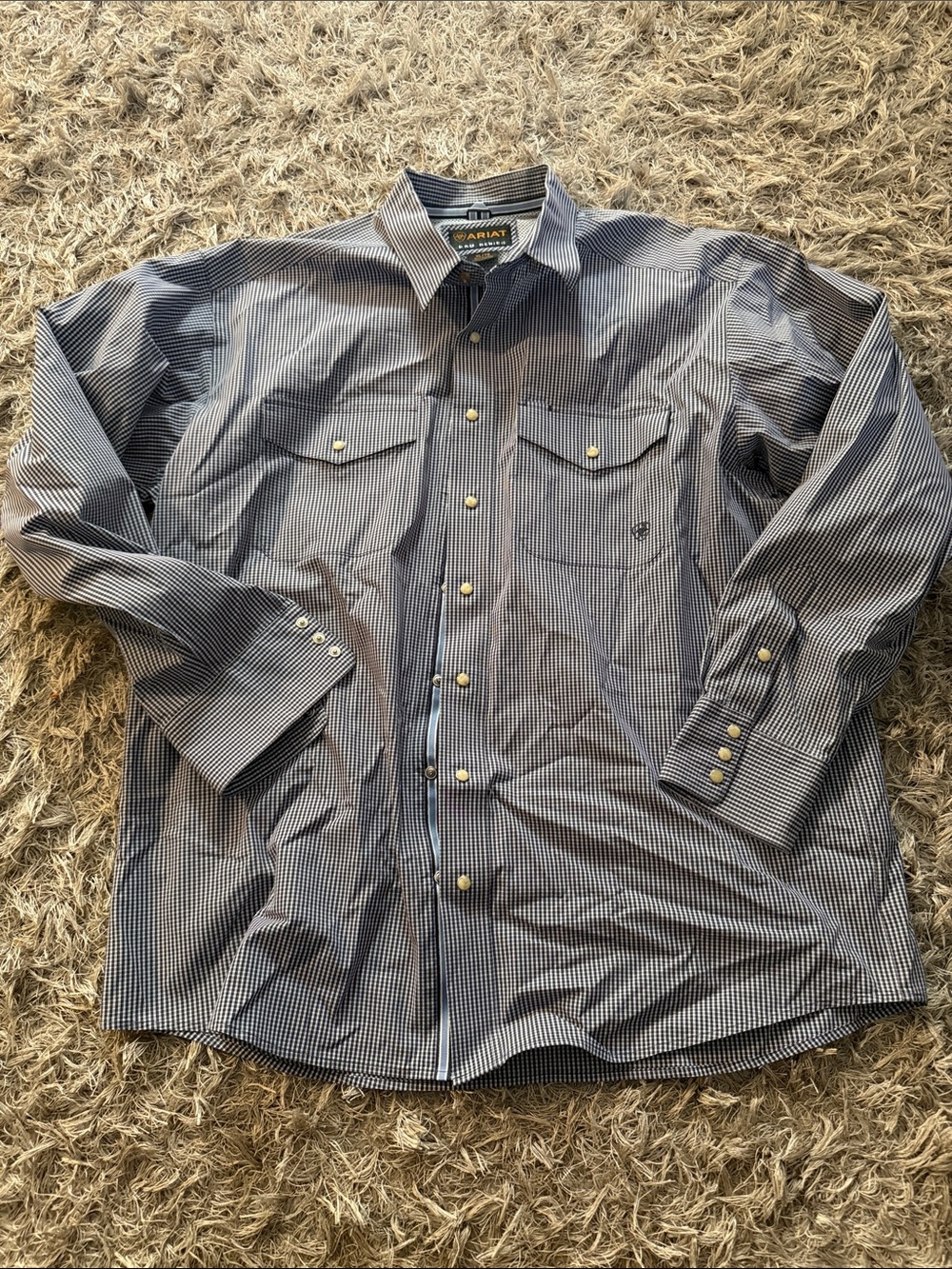 Ariat Men’s Blue Striped Western Shirt